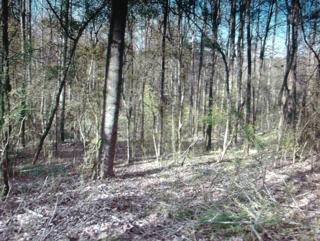 Picture 14