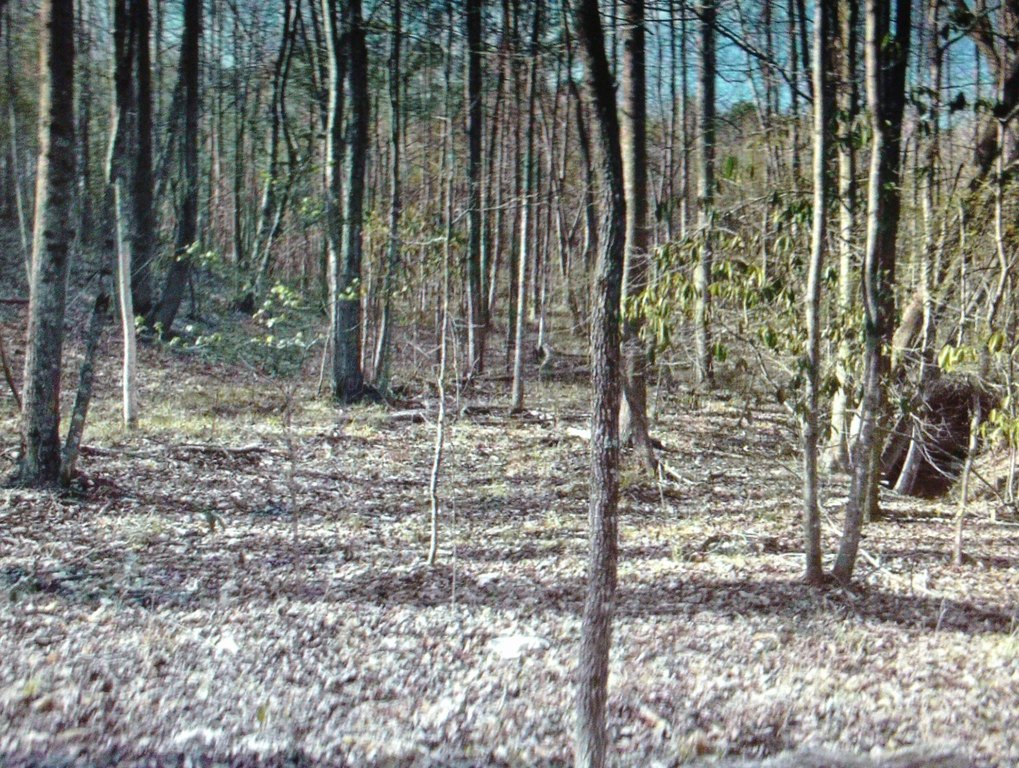 Picture 20