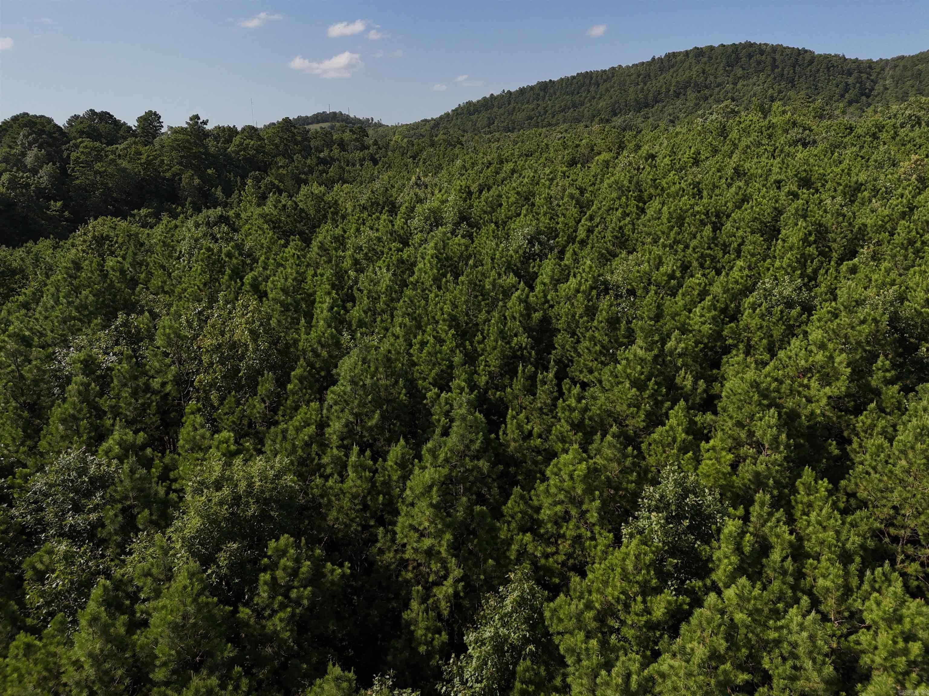 Residential Land in Rustic Ridge