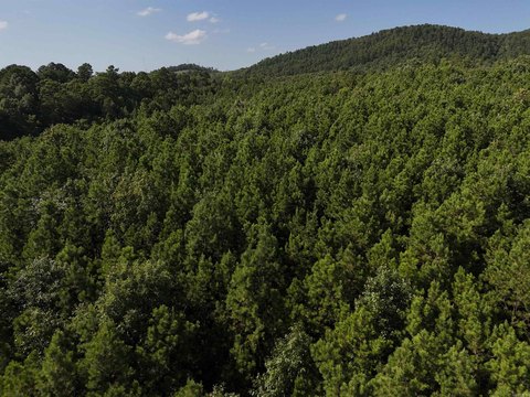 Residential Land in Rustic Ridge