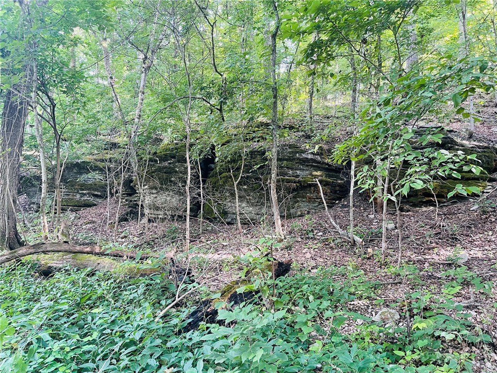 Picture 17