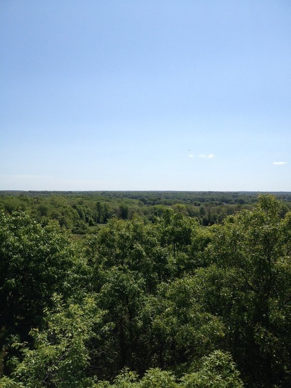 Picture 6