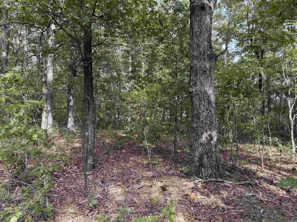 Picture 19