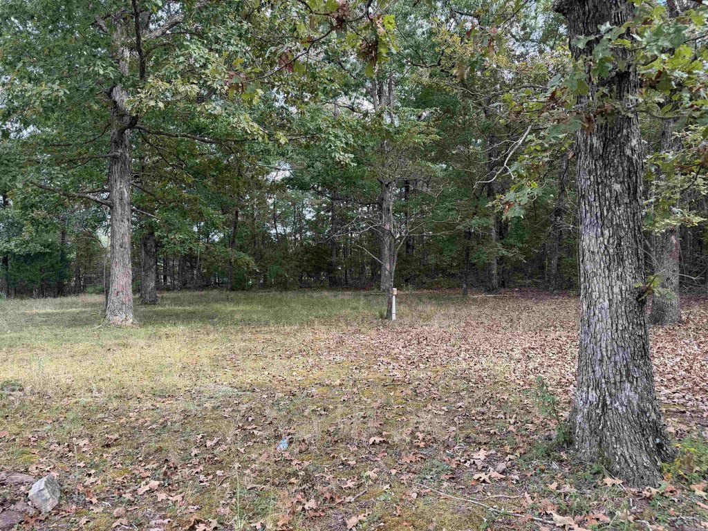 Picture 18