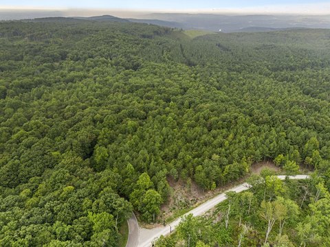 9.25 Acres in Willow Ridge