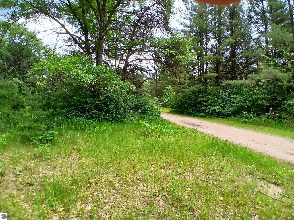 Picture 13