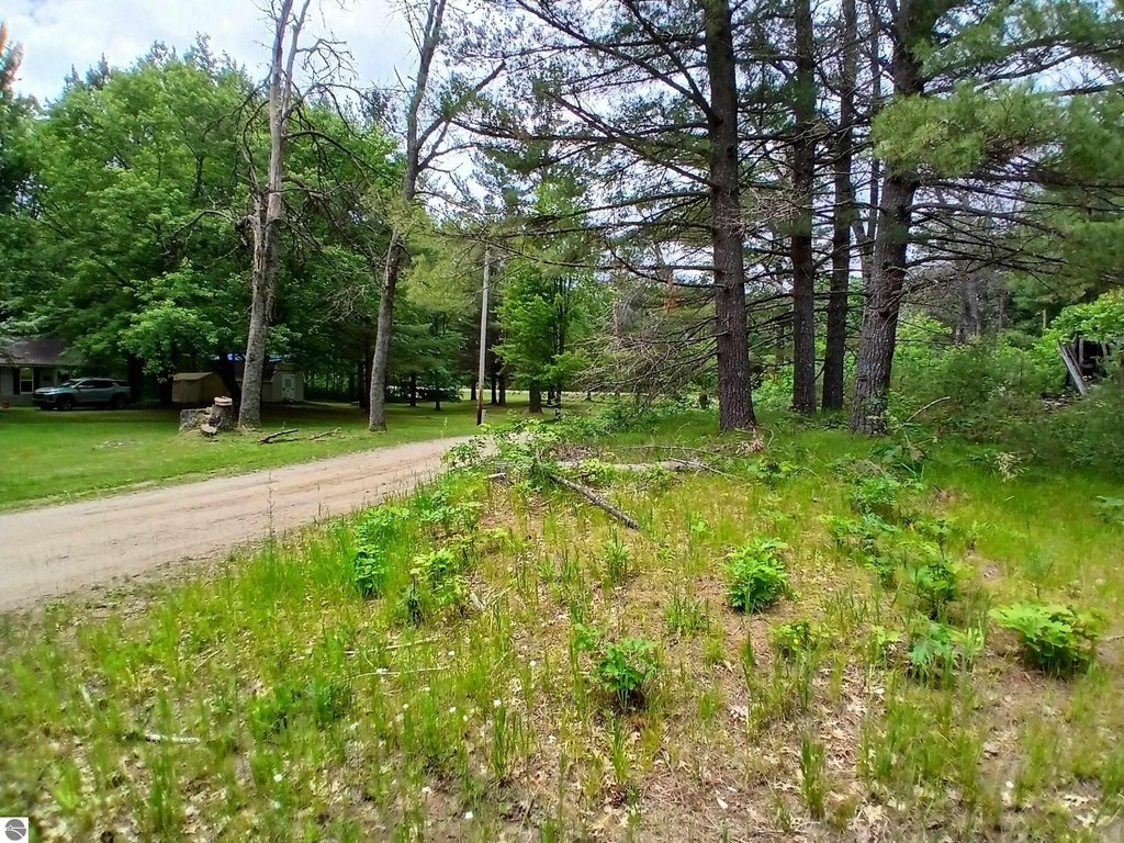 Picture 14