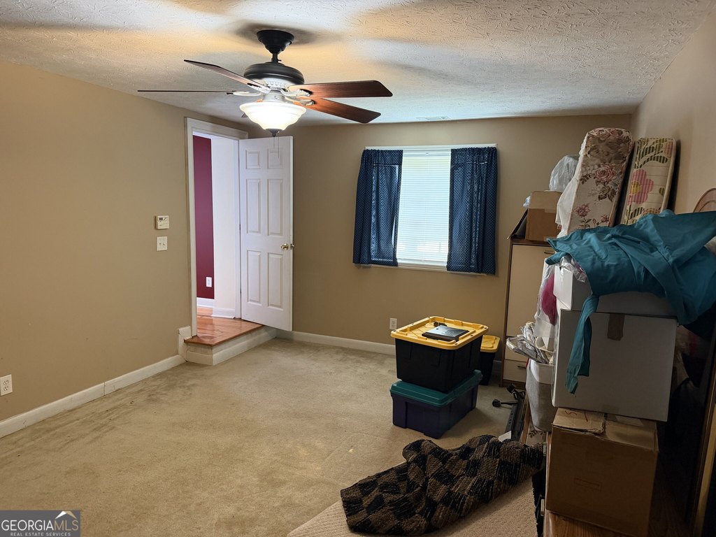 Picture 23