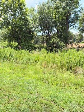 LAND - Russellville, AR