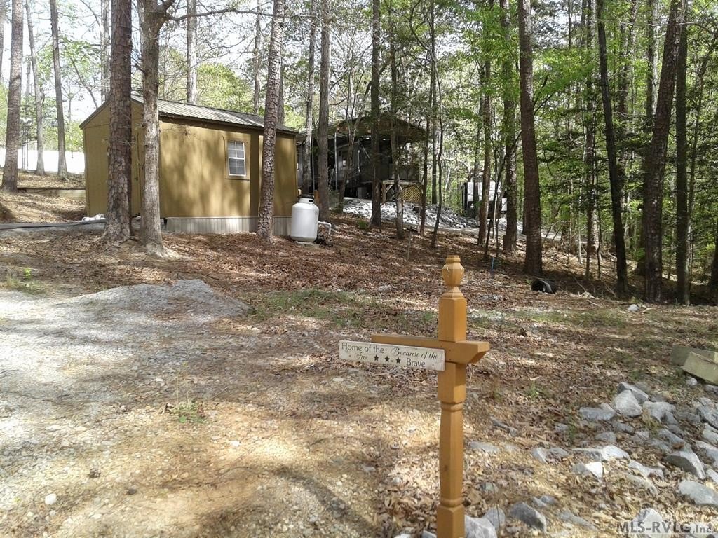 Picture 5