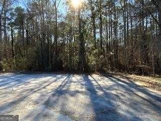 Residential Land in Conyers, GA