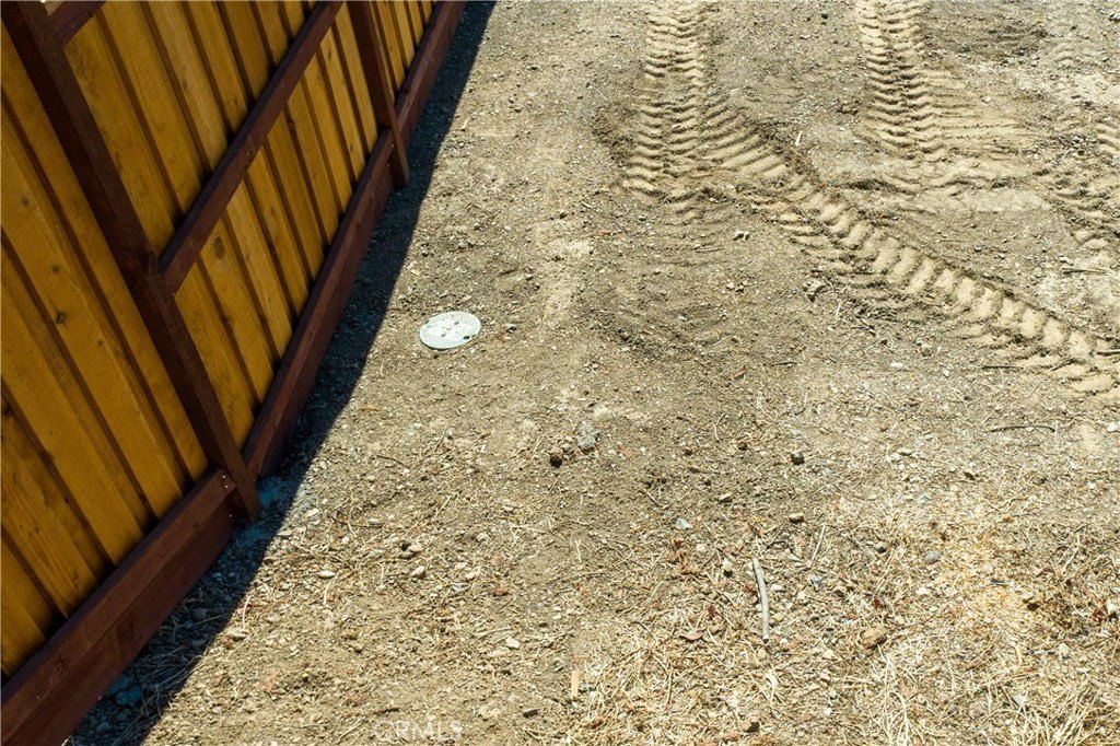 Picture 7