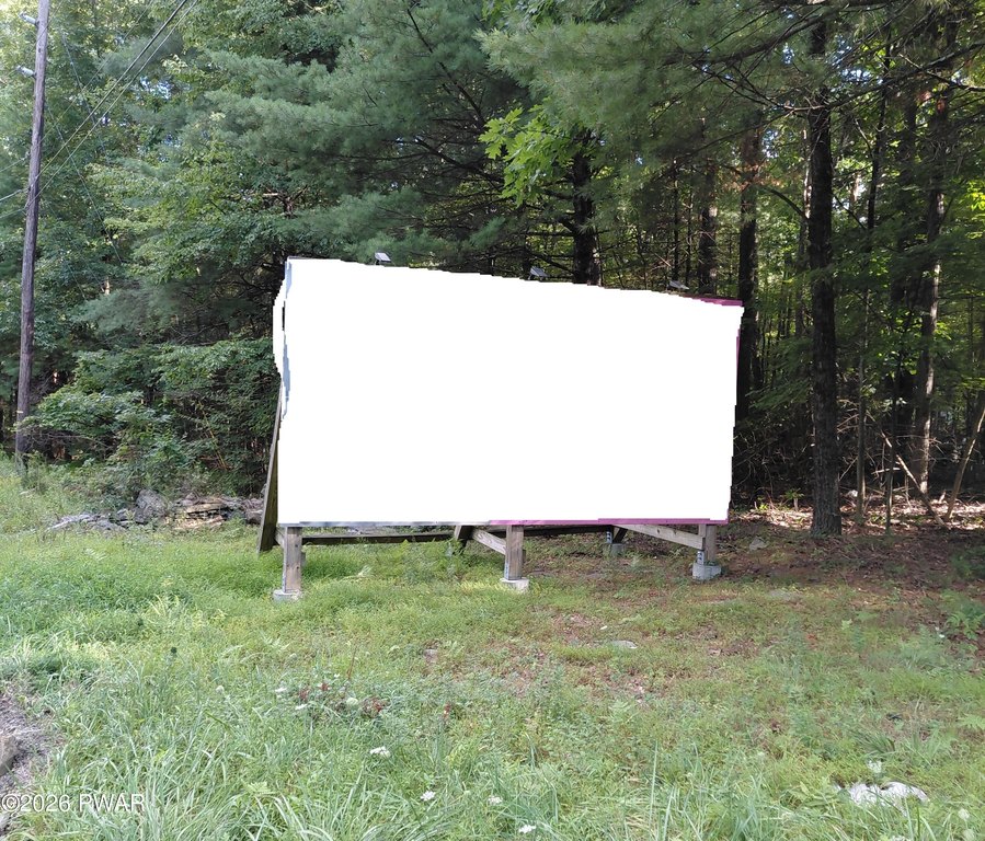 Picture 3