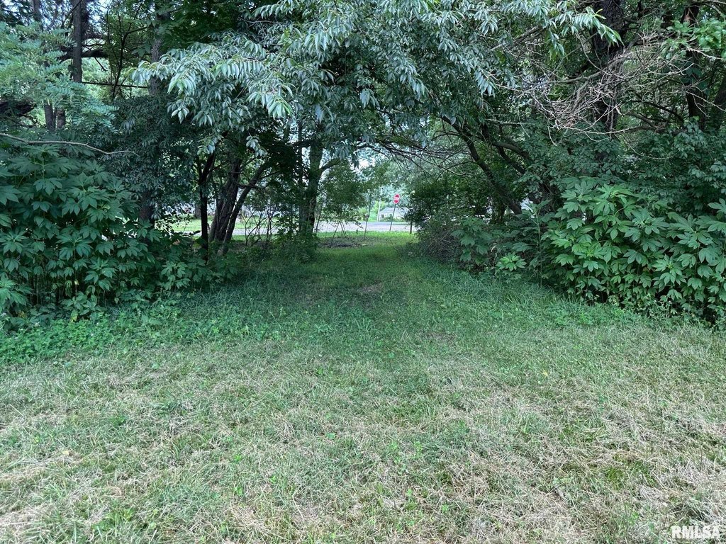Picture 28