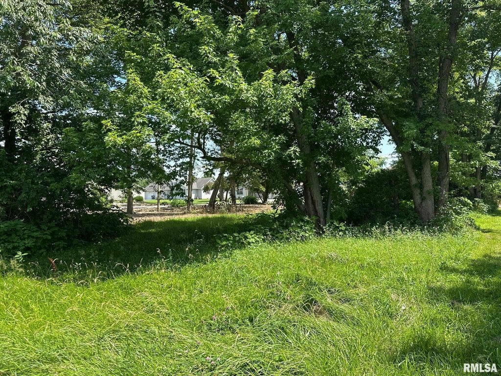 Picture 16