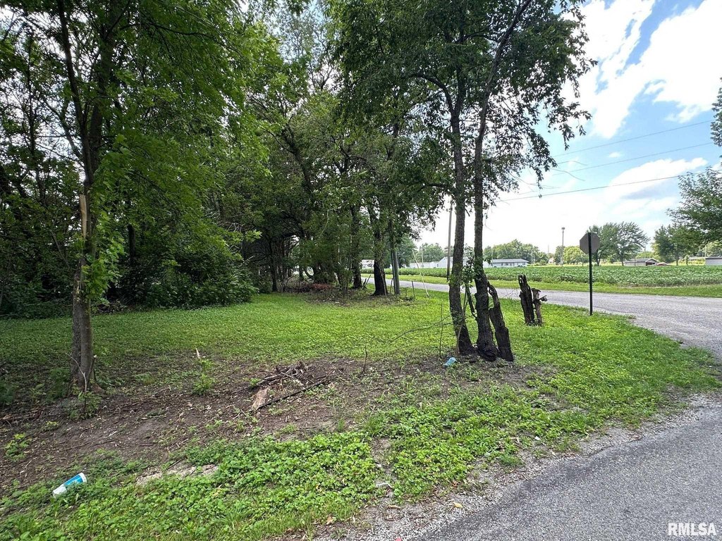 Picture 12