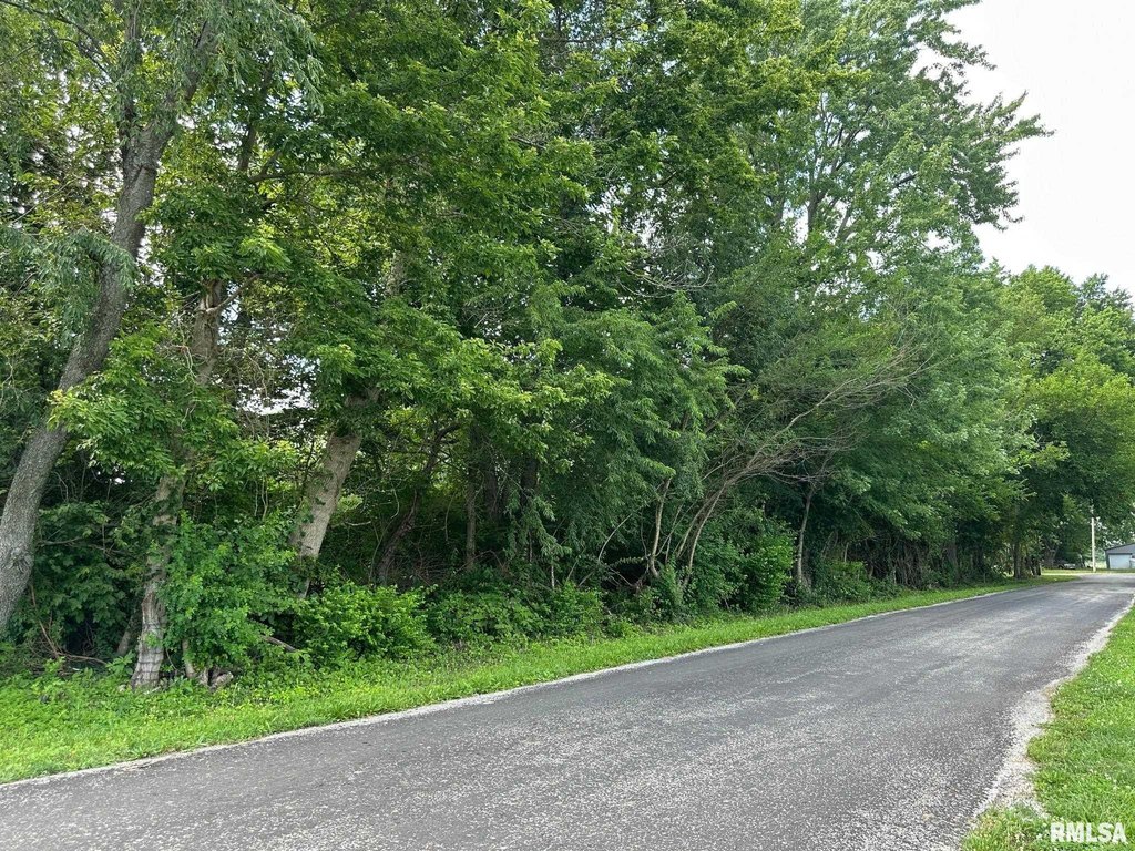 Picture 24