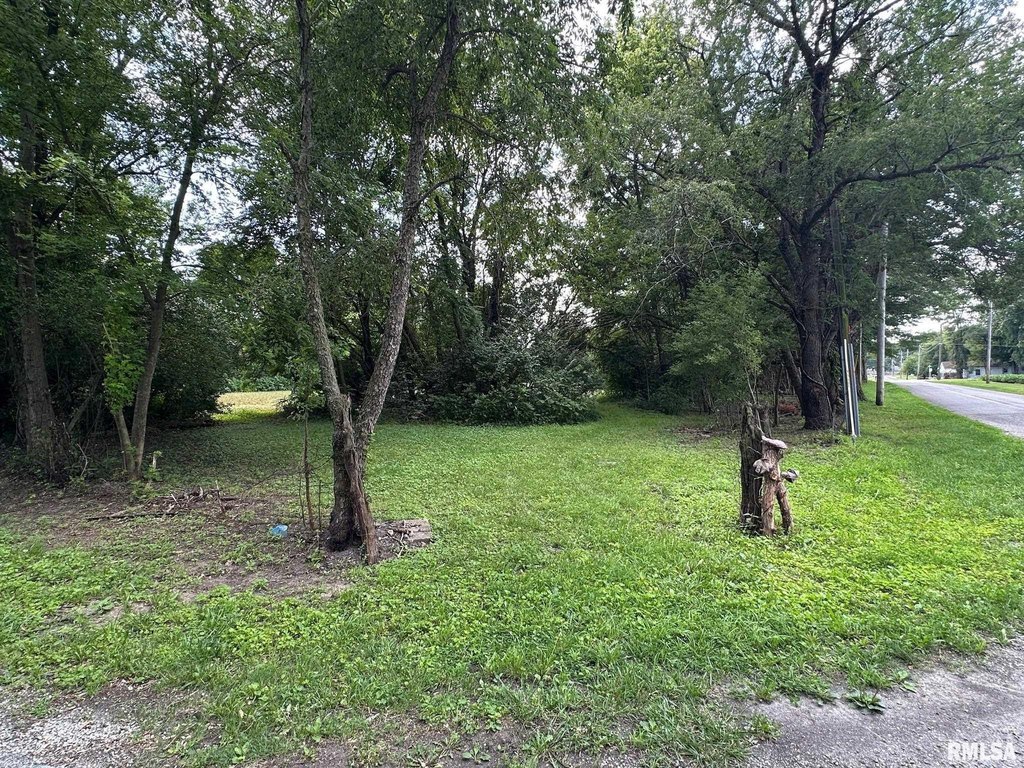 Picture 20