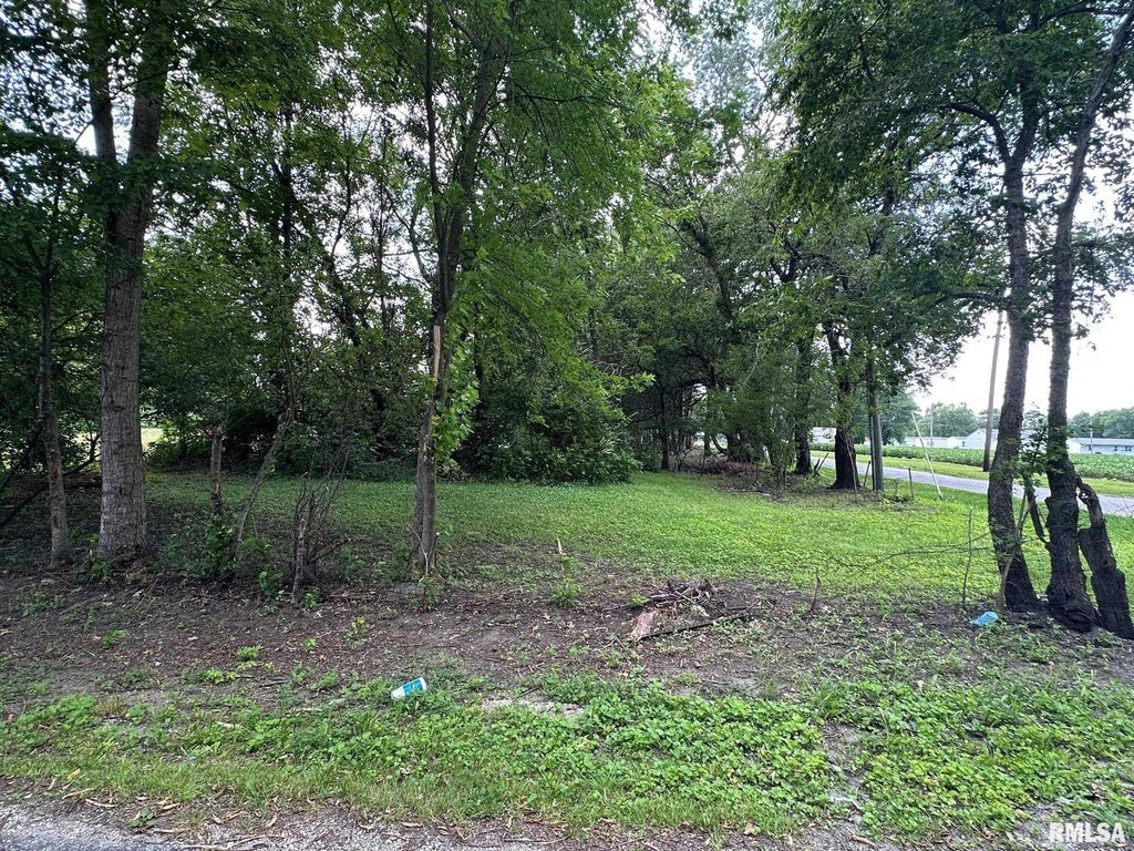 Picture 22