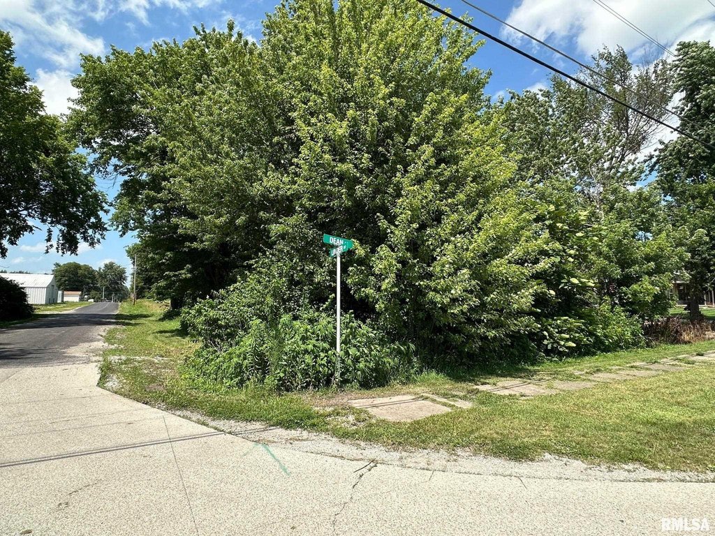 Picture 18