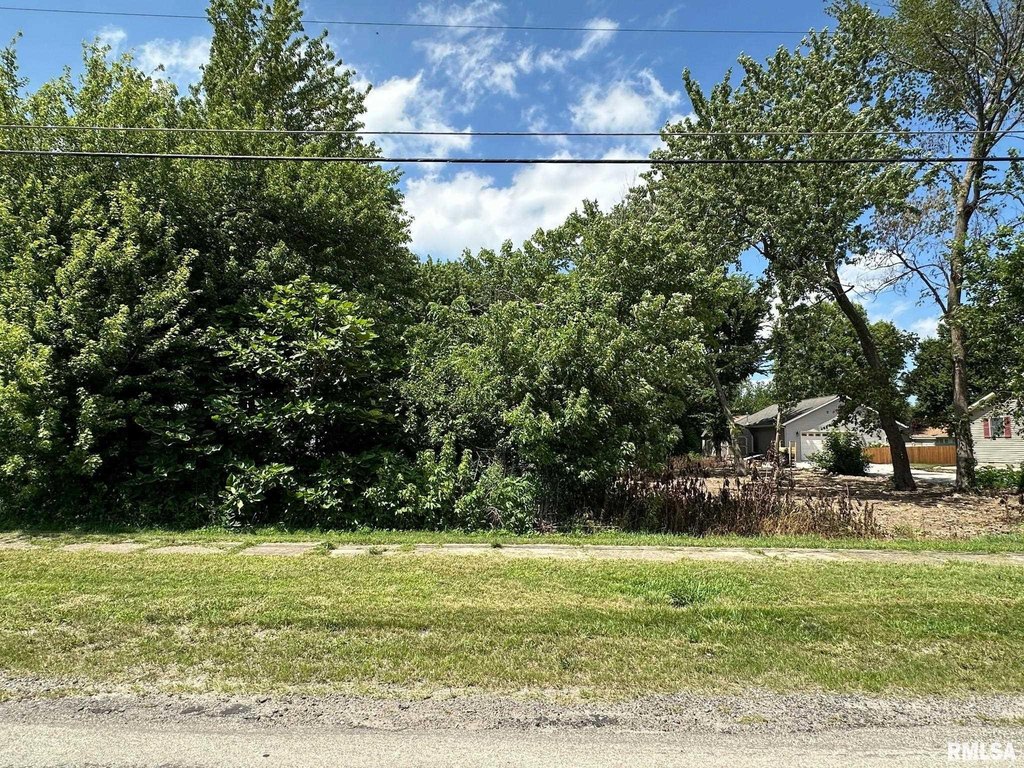Picture 19
