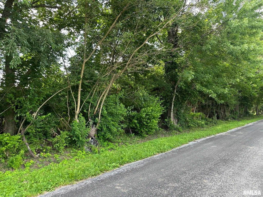 Picture 25