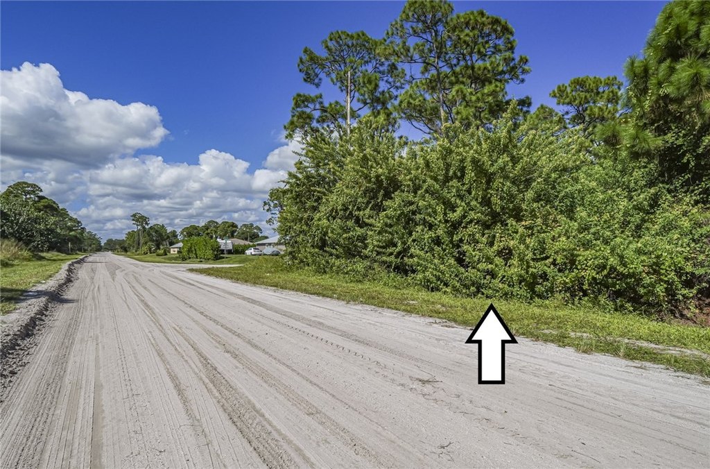 Picture 6