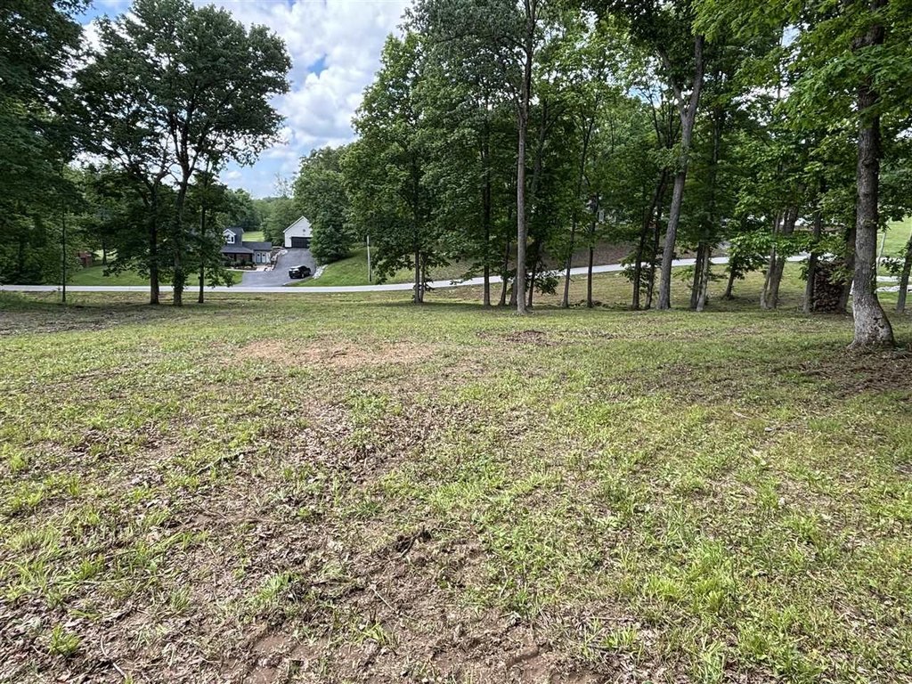 Picture 20