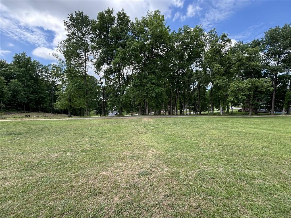 Picture 21
