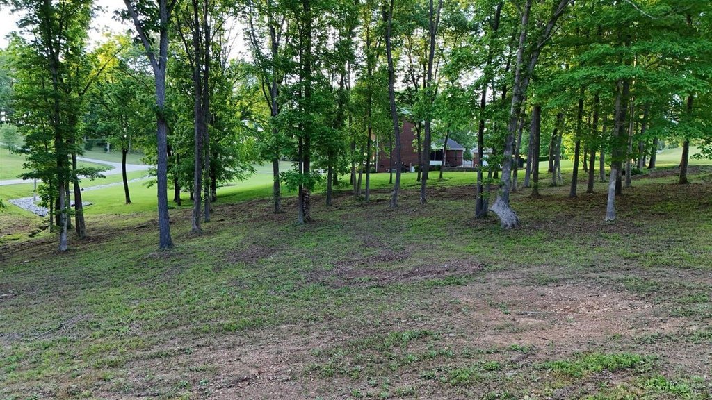 Picture 12