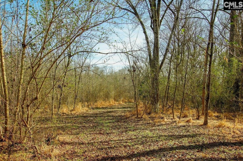 Picture 21