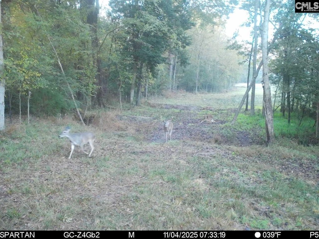 Picture 10