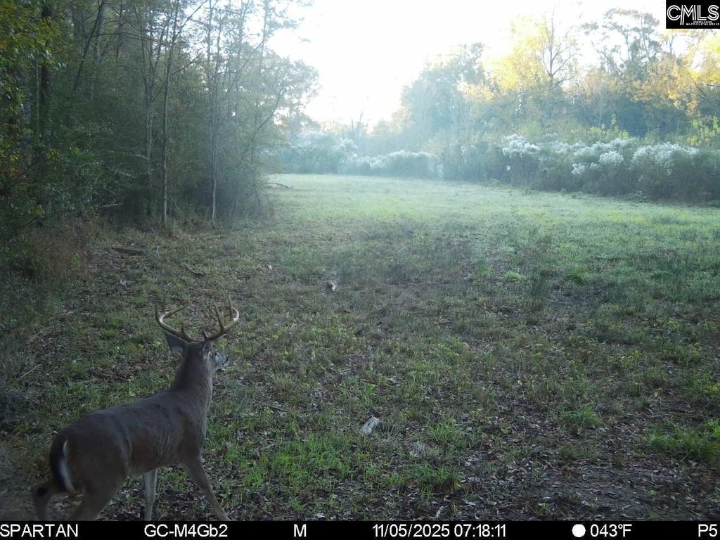 Picture 11