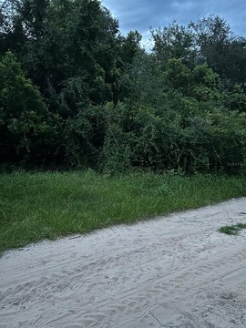 Land, UMATILLA, FL