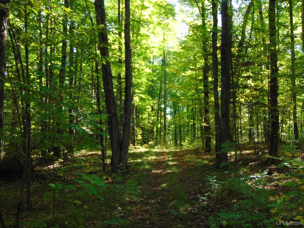 Picture 23