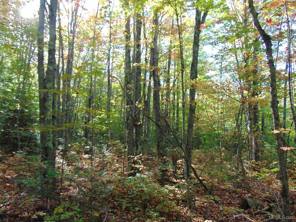 Picture 30