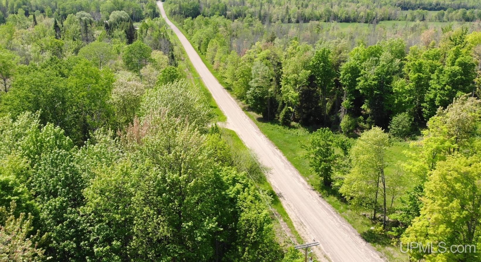 Heavily Wooded Land For Sale
