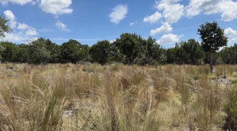 Land, Camp Verde, TX