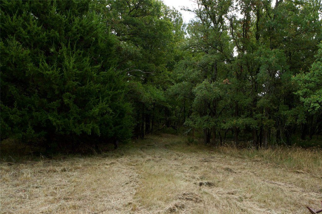 Picture 25