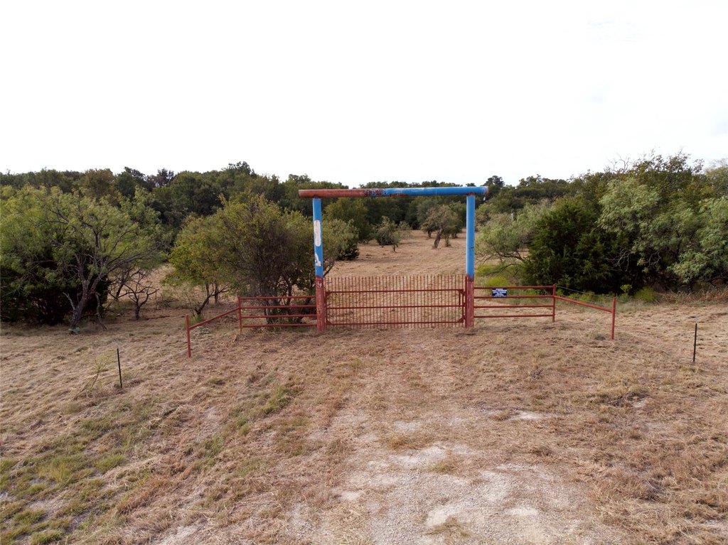 Picture 17