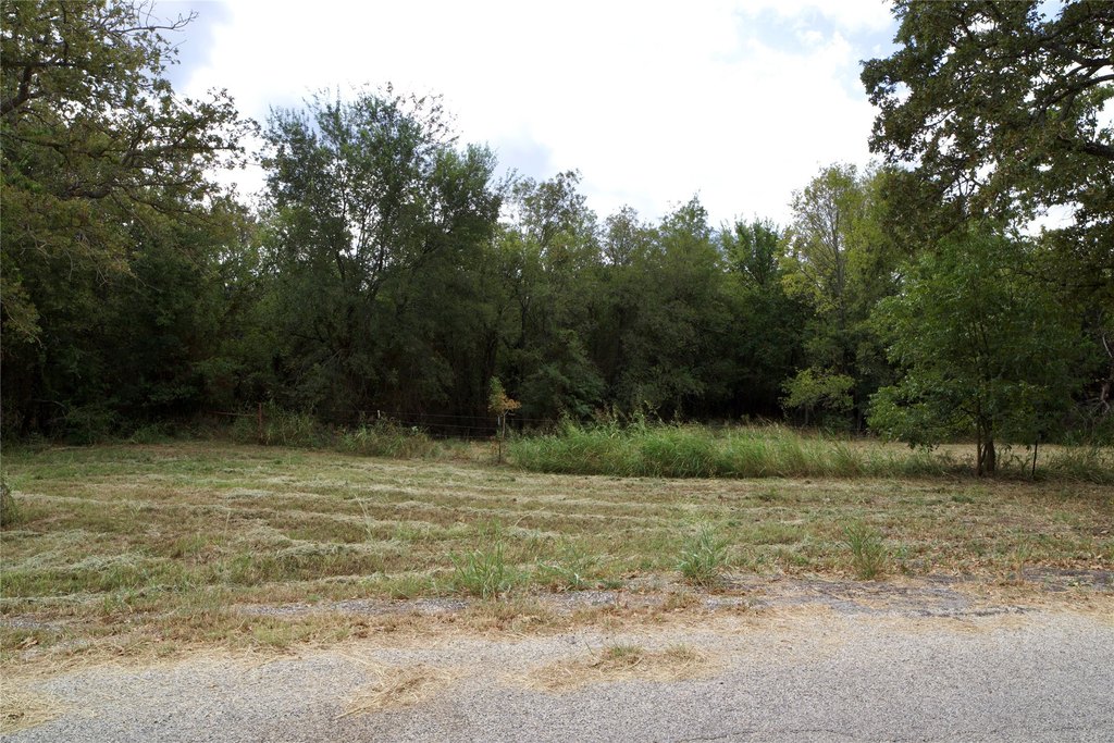Picture 22