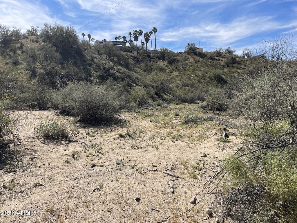 Picture 19