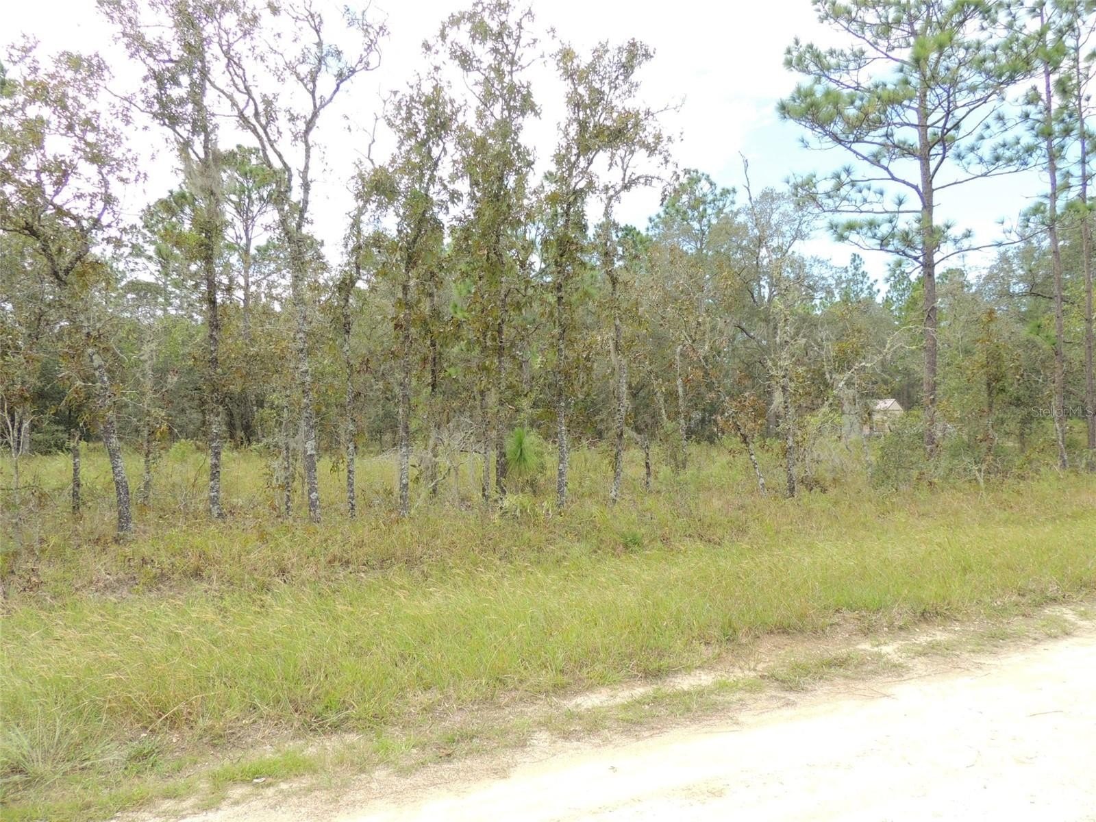 Williston Highlands One Acre Lot