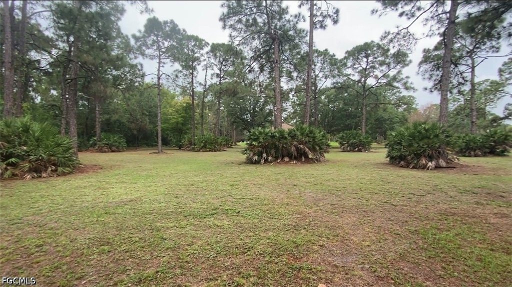 Picture 12