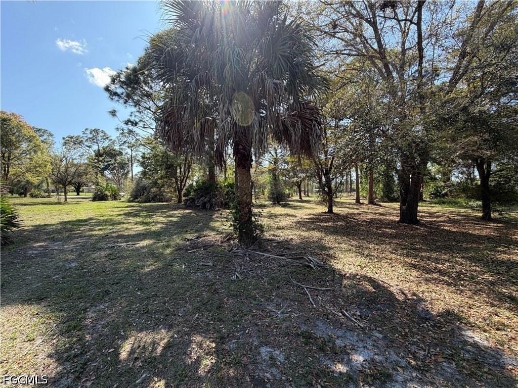 Picture 9