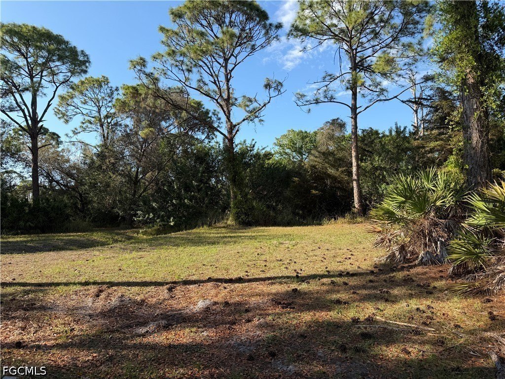 Picture 3