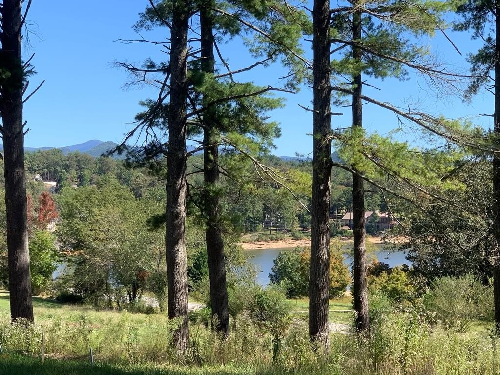 Lake Nottely Vacant Lot