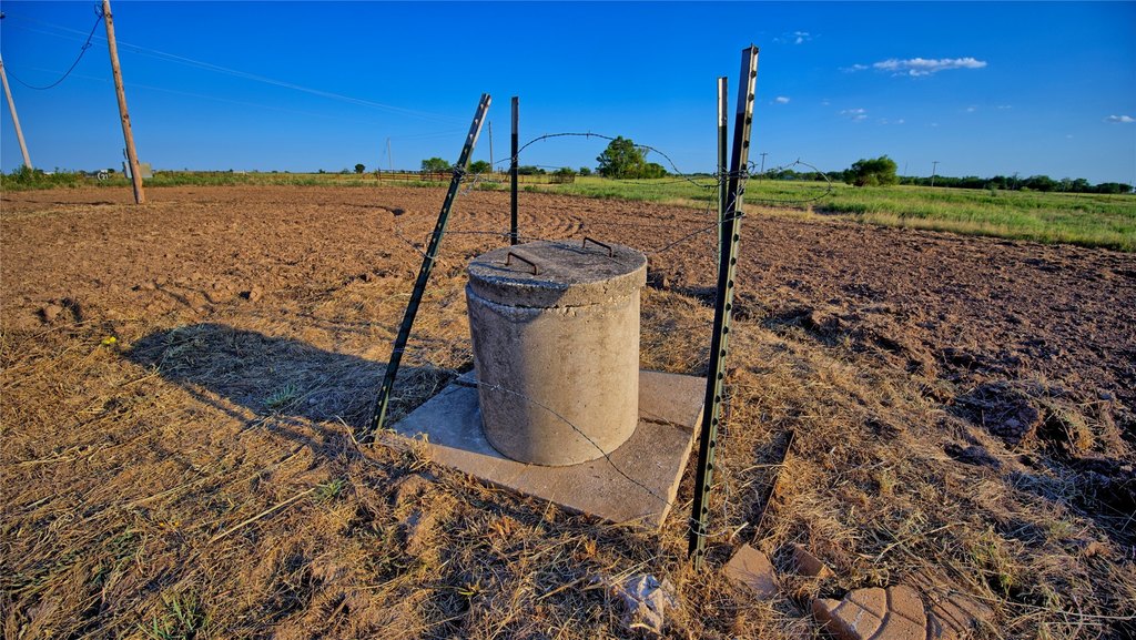 Picture 25