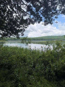 Lakefront Land Parcel