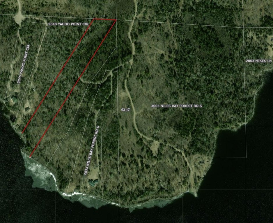 Picture 10
